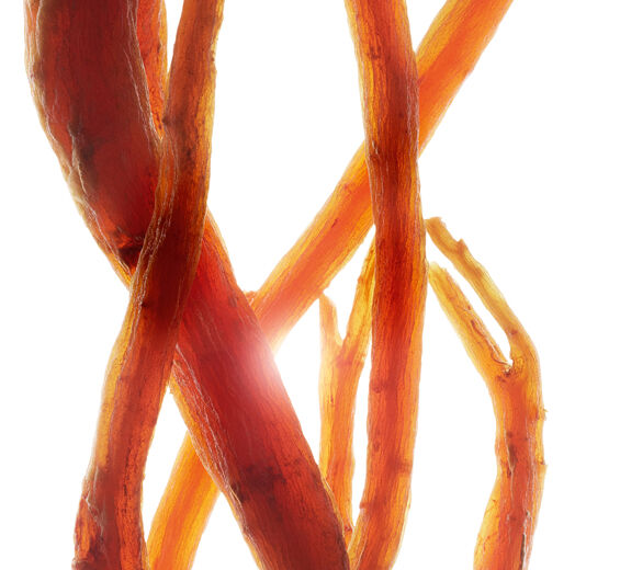 Ginseng-Organisk r&ouml;d ginseng extrakt-Panax ginseng root extract