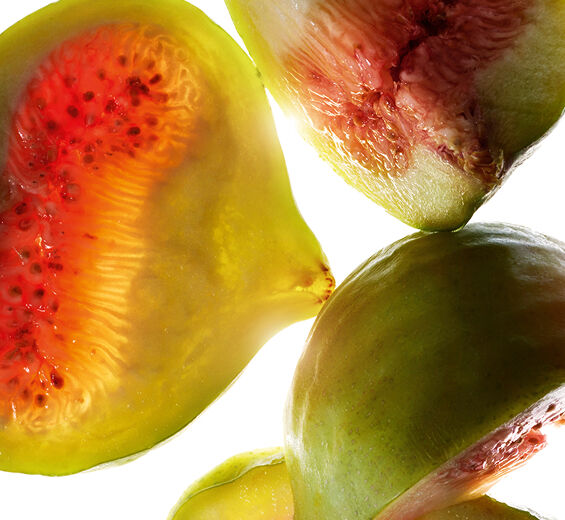 Fikontree-Fikon extrakt-Ficus carica (fig) fruit extract