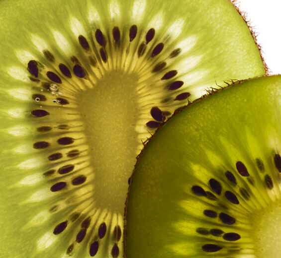 Kiwi-Ekologiskt kiwi-extrakt-Actinidia chinensis (kiwi) fruit extract