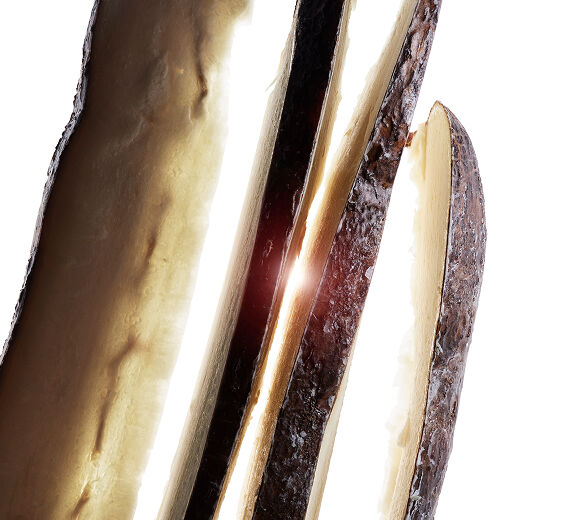 Manioc-Maniokrotextrakt-Tapioca starch