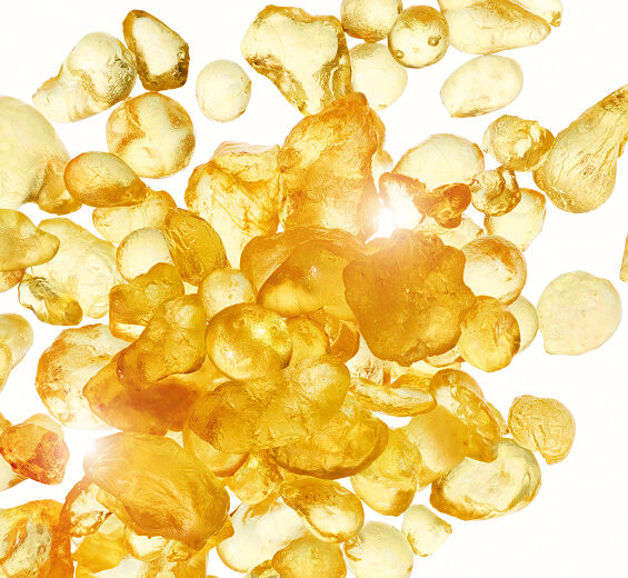 Masticbuske-Mastic extrakt-Pistacia lentiscus (mastic) gum