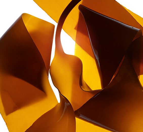 Laminaria-Laminaria-extrakt-Laminaria digitata extract