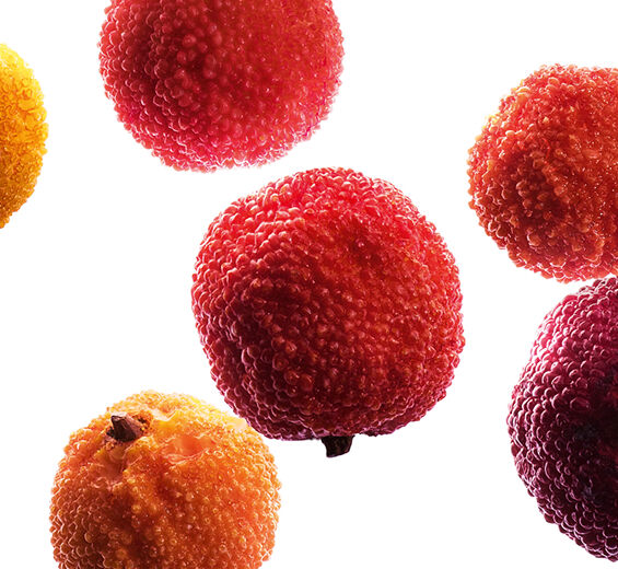 Jordgubbs tr&auml;d-Ekologisk jordgubbsfruktsextrakt-Arbutus unedo fruit extract