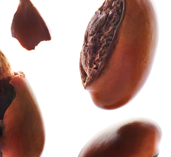 Sheatr&auml;d-Sheasm&ouml;r-Butyrospermum parkii (shea) butter