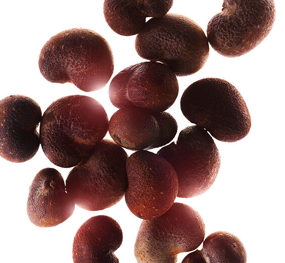 Baobab-Baobabextrakt-Hydrolyzed adansonia digitata extract