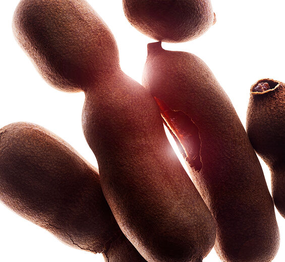 Tamanu-Ekologisk tamanuolja-Calophyllum inophyllum seed oil