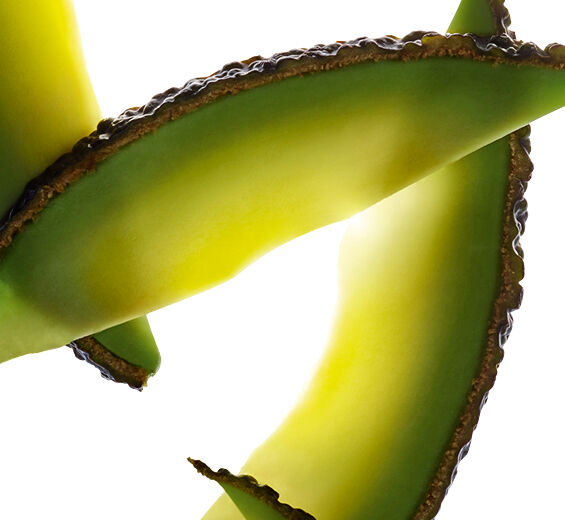 Avokado-Ekologisk avokadoolja-Persea gratissima (avocado) fruit extract