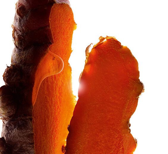 Kurkuma-Kurkumaextrakt-Curcuma longa (turmeric) root extract