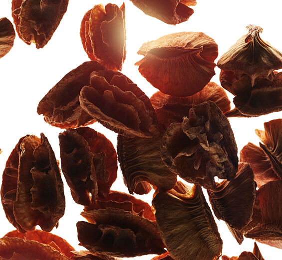 Acerola-Acerola fröextrakt-Malpighia emarginata (acerola) seed extract