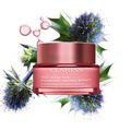 Multi-Active Smoothing Night Cream - Dry Skin