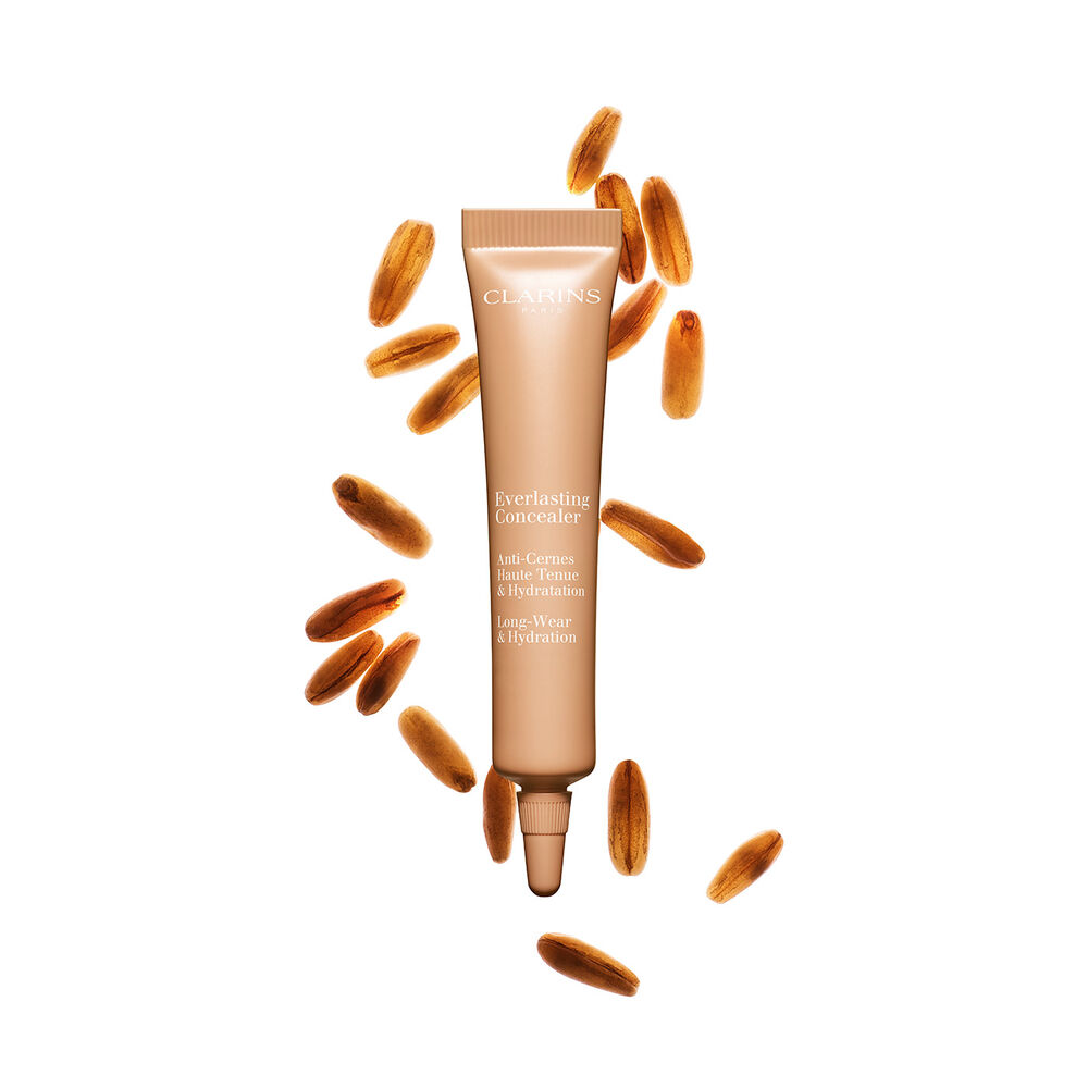 Everlasting Concealer