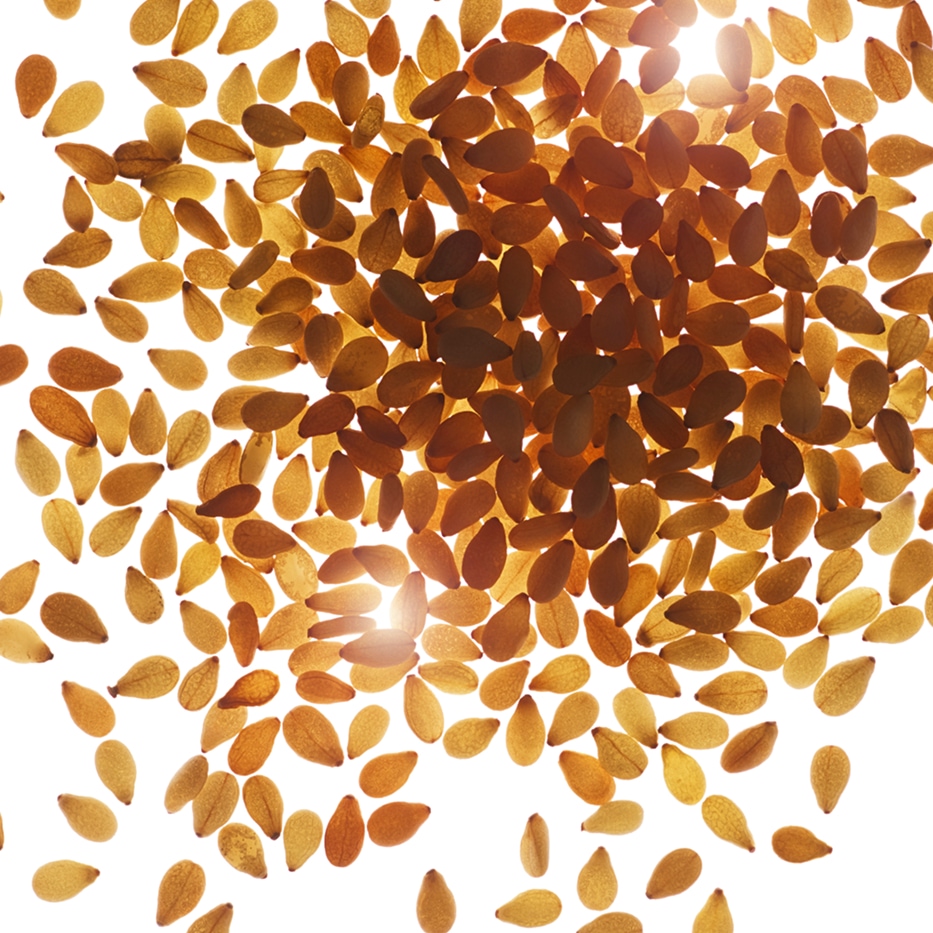 Sesam-Ekologisk sesamolja-Sesamum indicum (sesame) seed oil