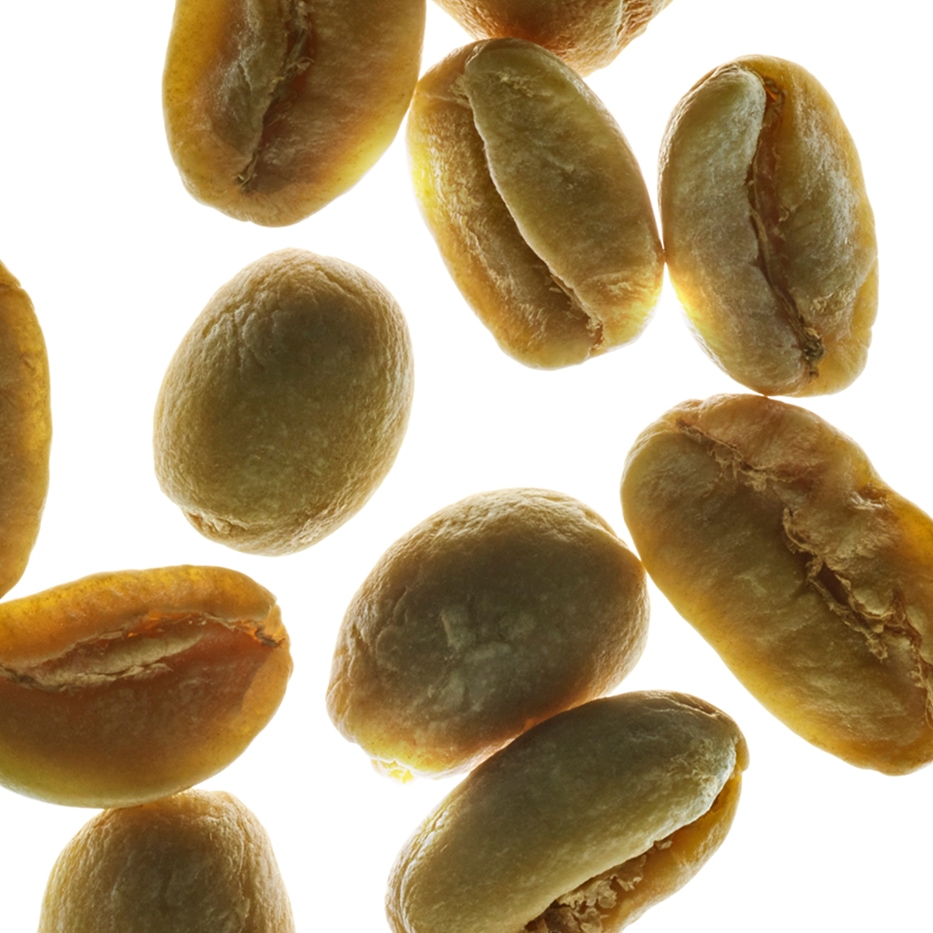 Arabica kaffebuske-Växtkoffein-Caffeine