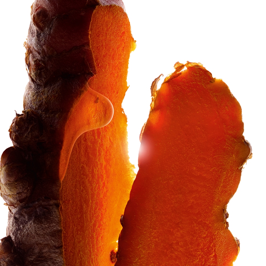 Kurkuma-Kurkumaextrakt-Curcuma longa (turmeric) root extract