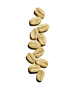 Kaffebusken