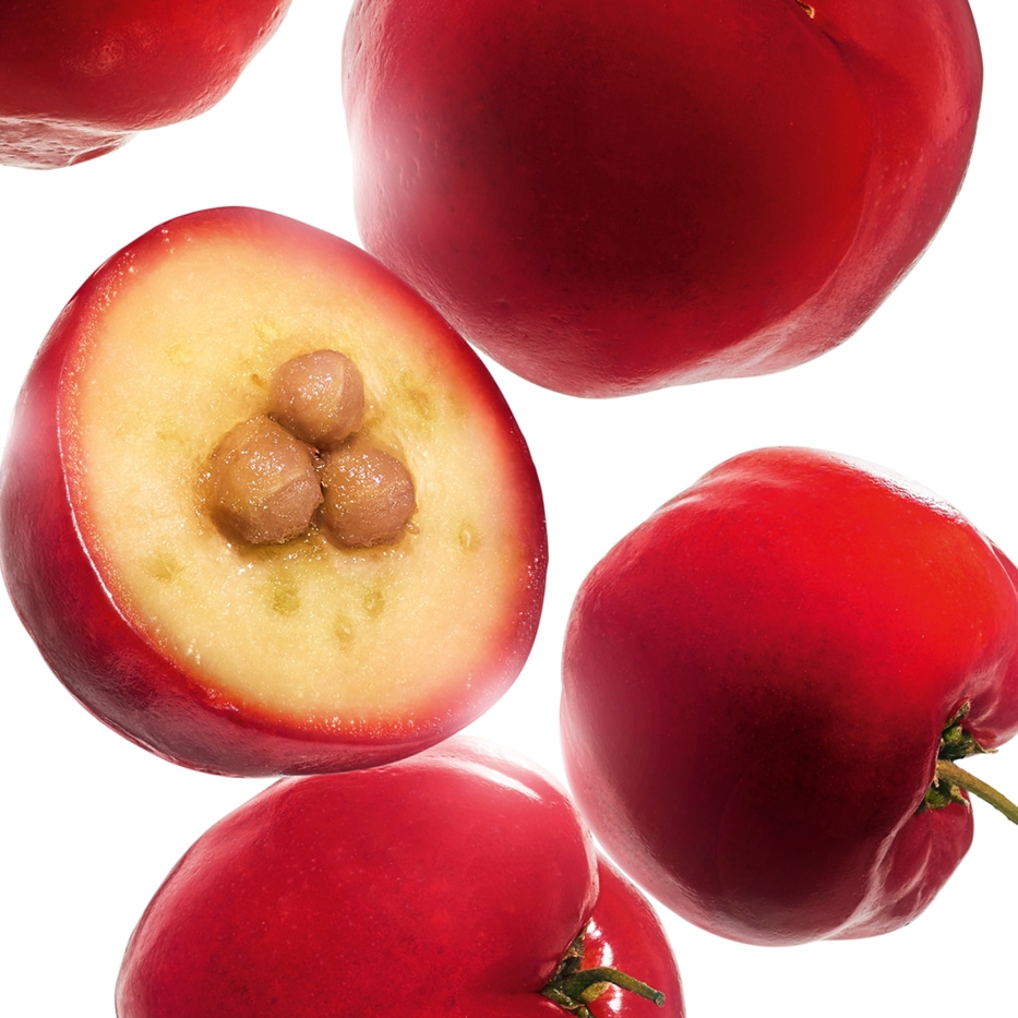 Acerola-Acerola extrakt-Malpighia emarginata (acerola) fruit extract