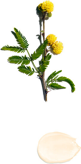 Kassia