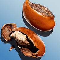 Sheasmör