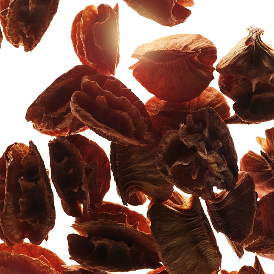 Acerola-Acerola fröextrakt-Malpighia emarginata (acerola) seed extract