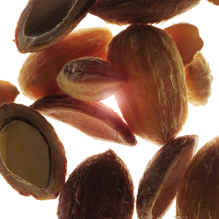 Ökenfrukt-Organisk öken datum extrakt-Balanites roxburghii seed oil