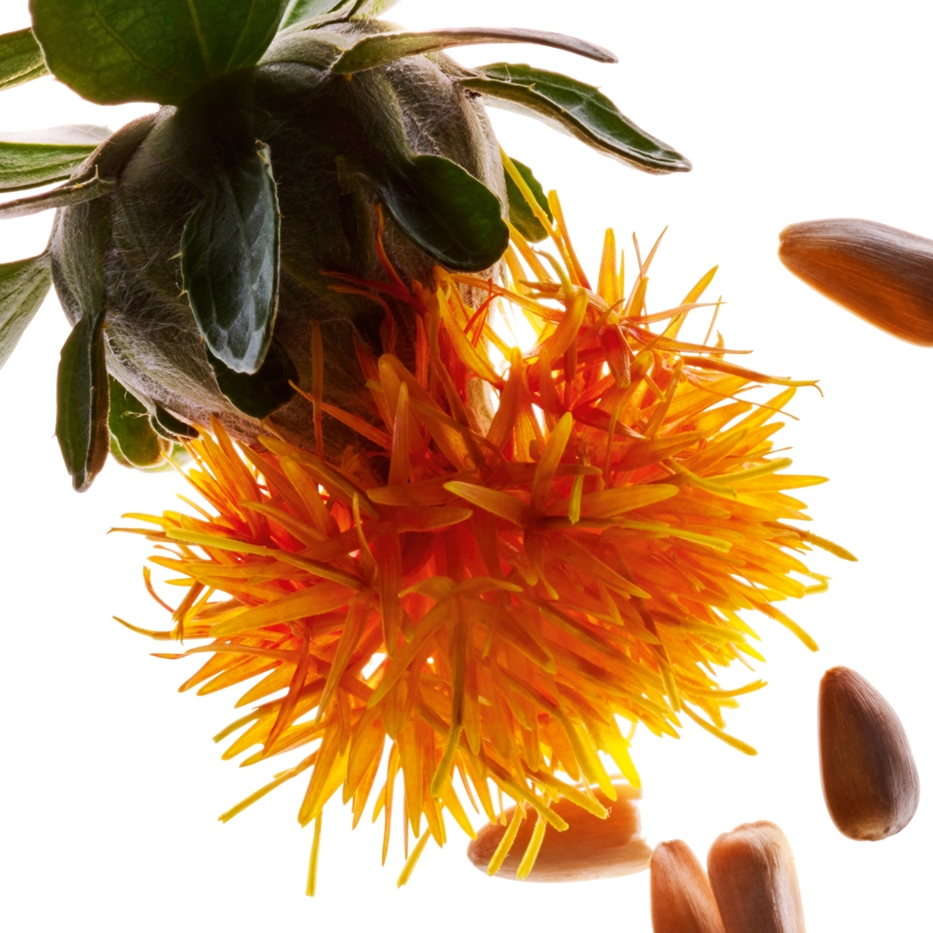 Safflower-Safflowerextrakt-Carthamus tinctorius (safflower) seedcake extract