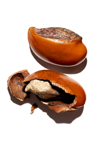 Sheasmör